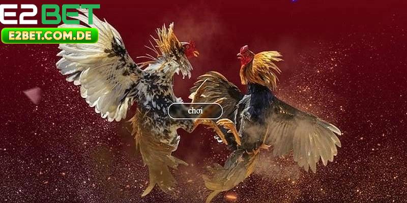 Kinh nghiệm cá cược đá gà thomo đạt hiệu quả cao